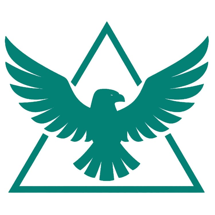 Eagle soaring